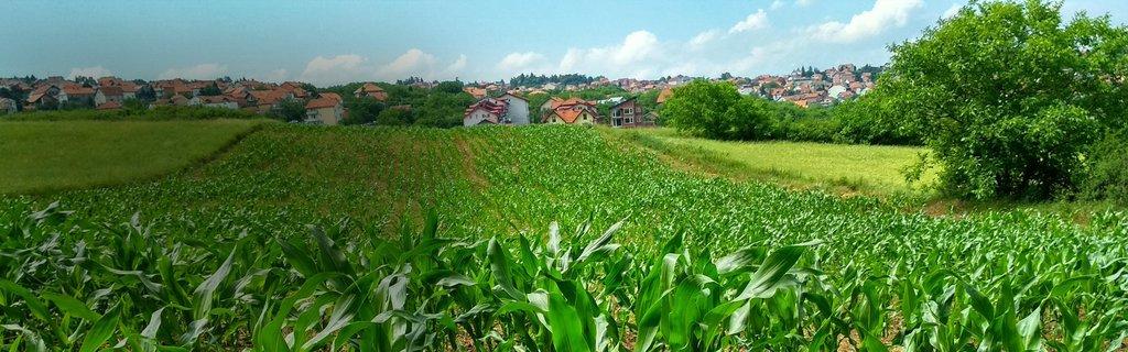 Organic food production